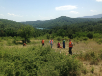 Serbia,AMT